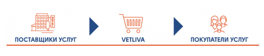 vet;iva_принцип работы